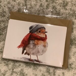 Charming Winter Birds Greeting Card Set of 6, hat & scarf variety pk NWT HC